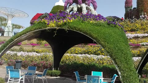 Dubai Miracle Garden