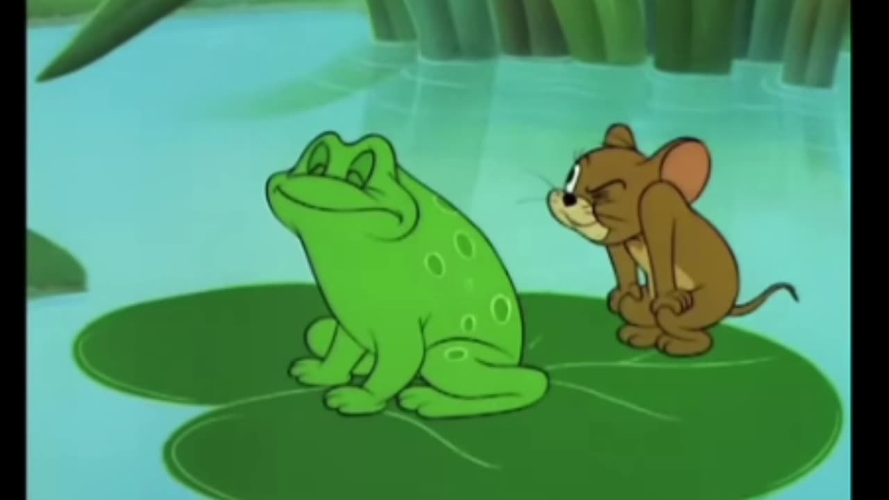 Cartoon videos