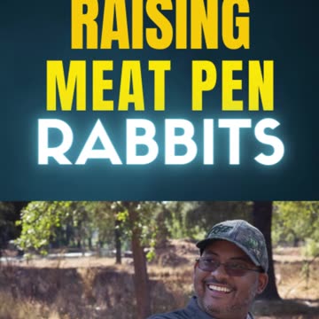 Raising Meat Pen Rabbits: A Beginner’s Guide to Sustainable Livestock