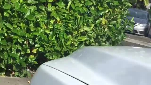 Unattended Baby Left in Backseat