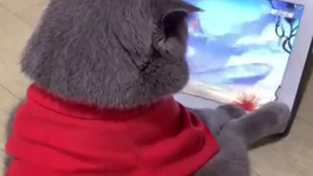 cute animals