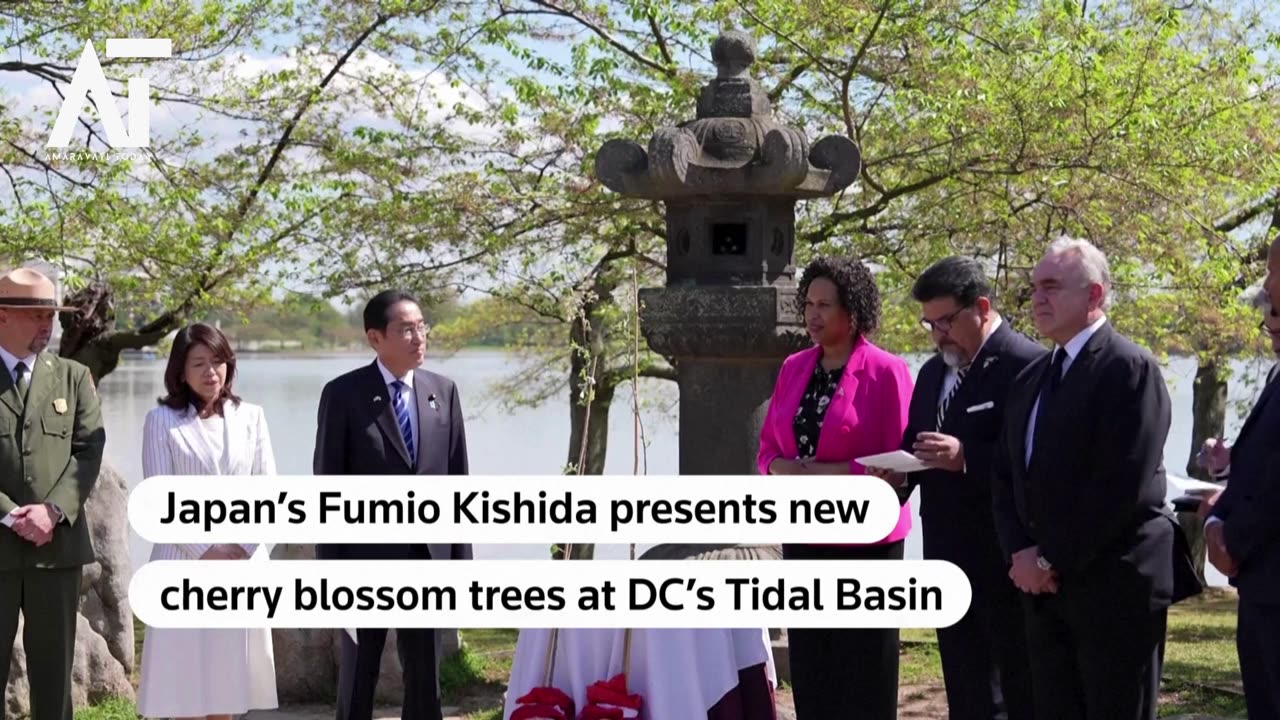 Fumio Kishida Symbolic Gesture New Cherry Trees in Washington, D C 's Tidal Basin | Amaravati Today