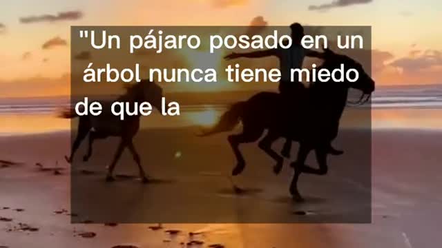 The powerful horse in the wolrd
