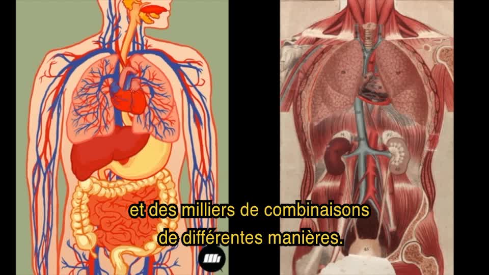 Le Culte De La Virologie - Documentaire