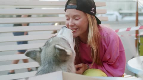 Dog Enjoys Eating With His Owner But Refuse To Share