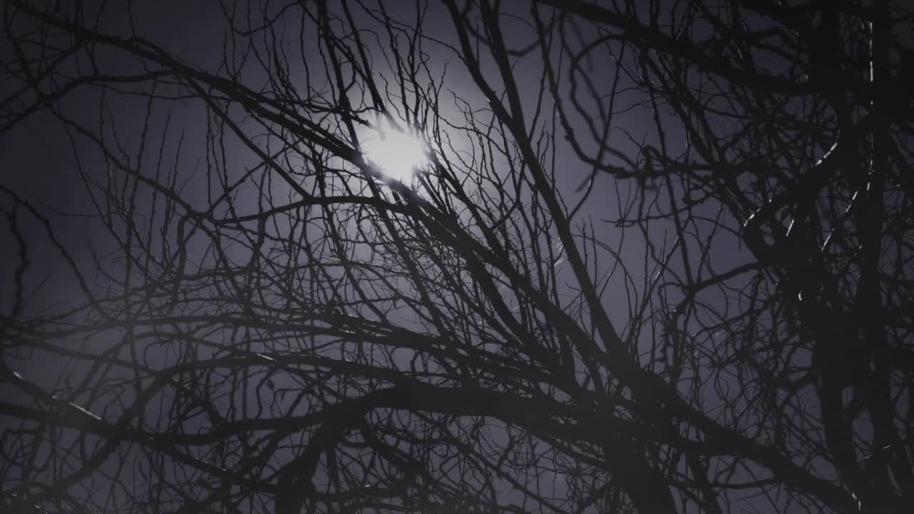 Satan is Laughing Loudly - Vignettes with a Mystic, Marilynn Hughes, Out of Body Travel