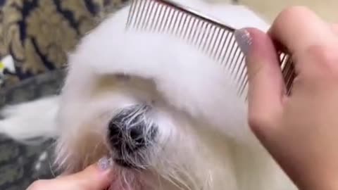 Get a haircut