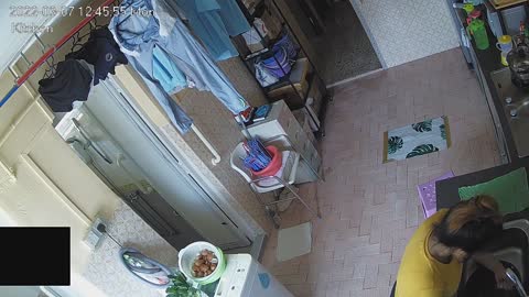 kitchen day n night 20220307