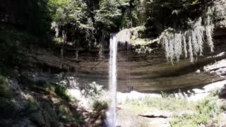 Tine de Conflens