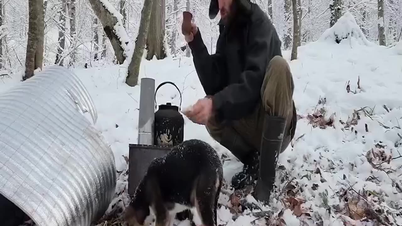 Snow Survival Cozy Dugout Enjoying