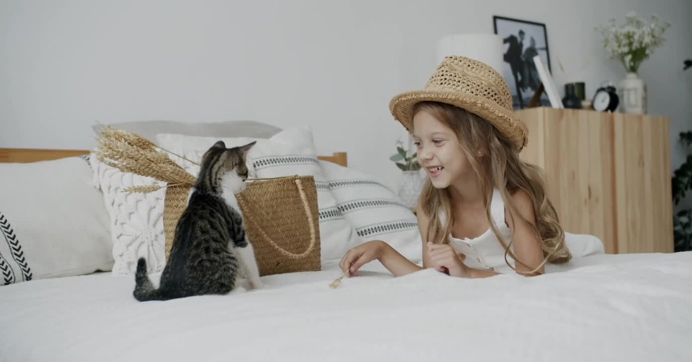 A Girl Looking at the Cat