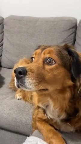 Where did that squirrel go? 😱😱😂