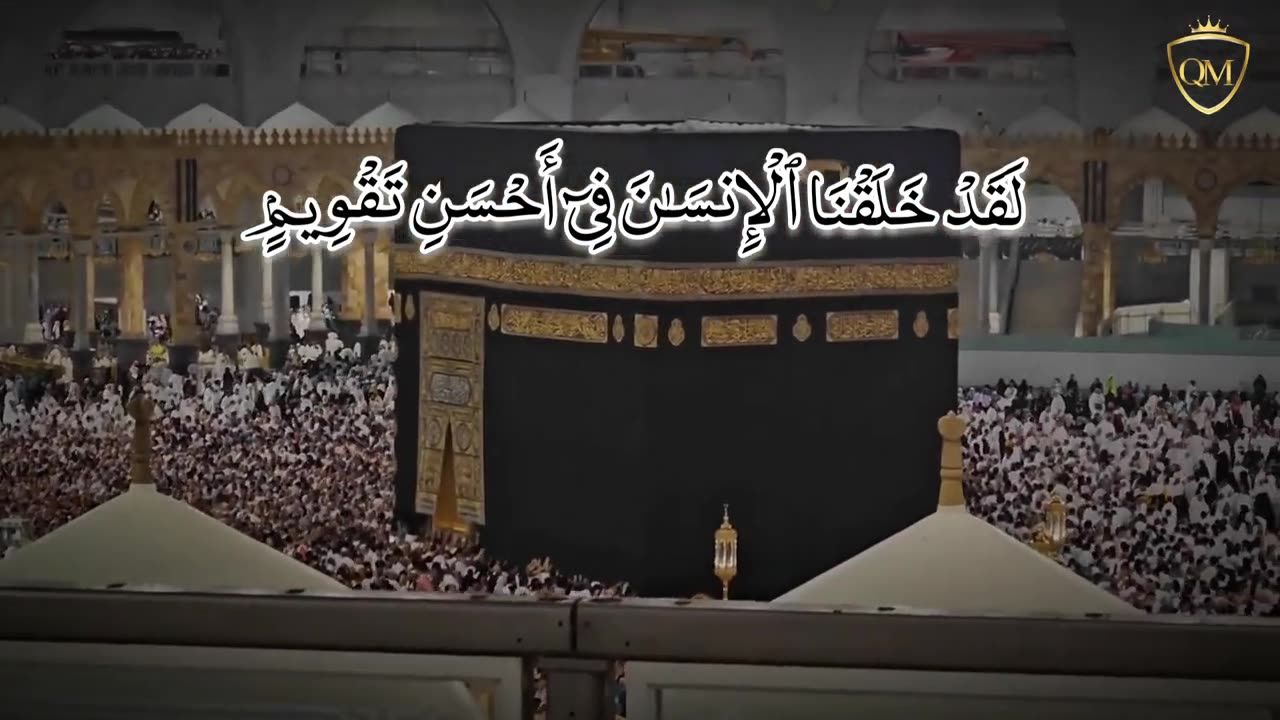 Surat At-Tin | Best Qirat | Tilawat E Quran | Beautiful Voice | Amazing Quran Recitation