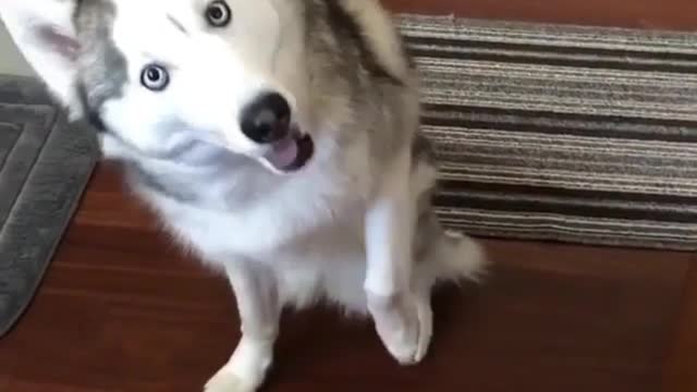 not very smart