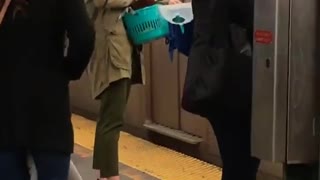 Girl has chicken in blue basket