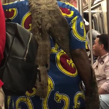 White hair behind all clumped together subway blue red yellow shirt