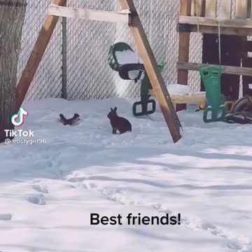 We got ourselves a convoy