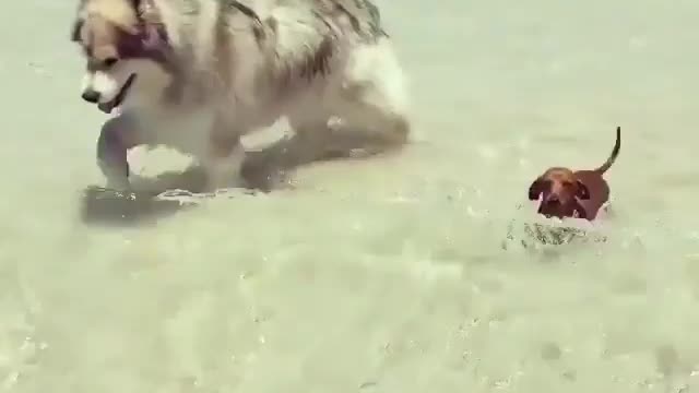 enjoy the beach, sun