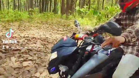 Forest ride