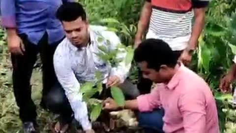কে ছিল এই মিরু ?