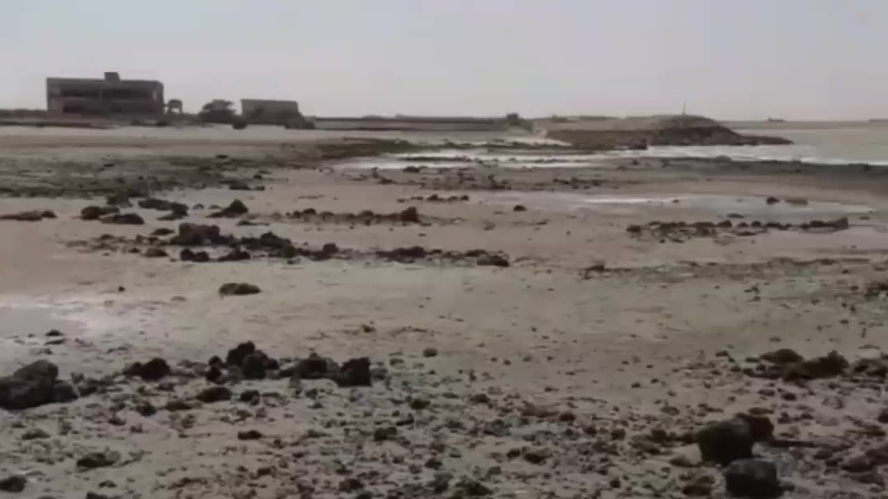HORSE AT SEE BEACH