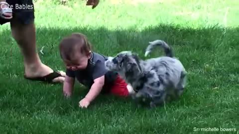 Cute pupies and babies having fun