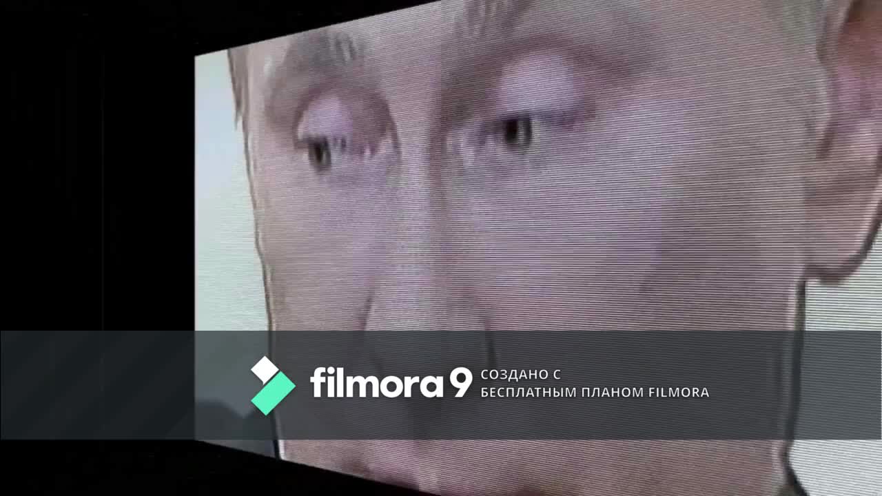 Сытое бытие ящериц