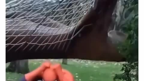 .Embarrassing Tik Toks that made me a Baddie 🥵️💅😈at made me a Baddie 🥵️💅😈