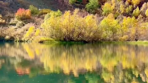 The beauty of Nature