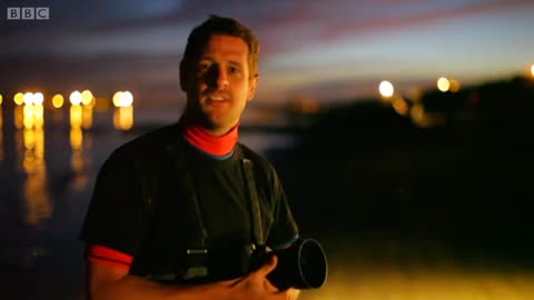 Welcome to the New BBC Earth Channel On YouTube!