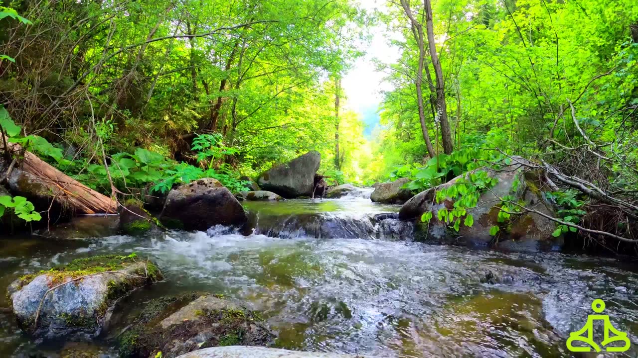 4K 🎶🌱Relaxing waterfall with natural spring water🏔️