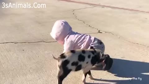 cute babies and pets ,funny video.