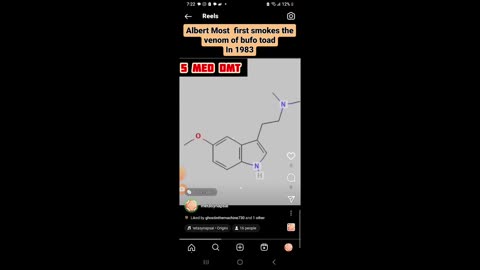 The evolution of serotonin and the destruction of the simulation