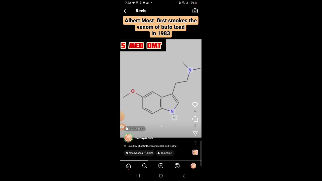 The evolution of serotonin and the destruction of the simulation