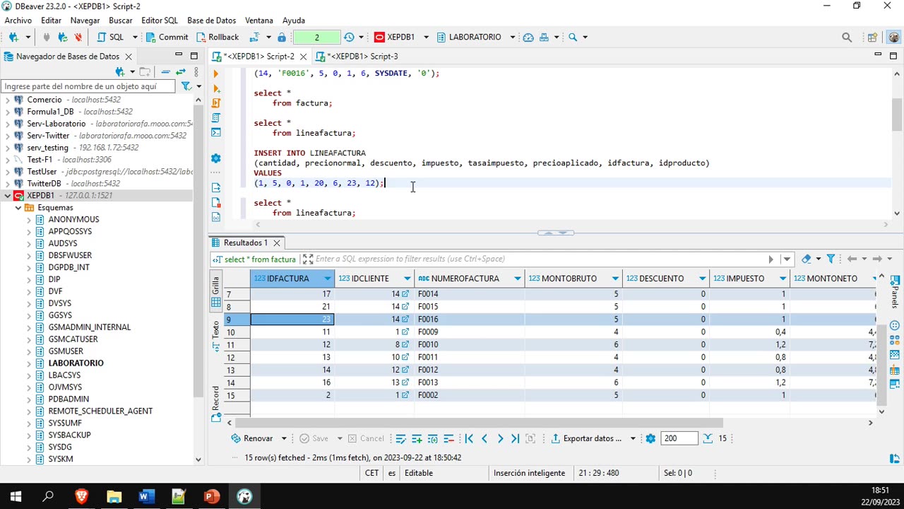 Oracle y el lenguaje PL/SQL parte 20. Transacciones