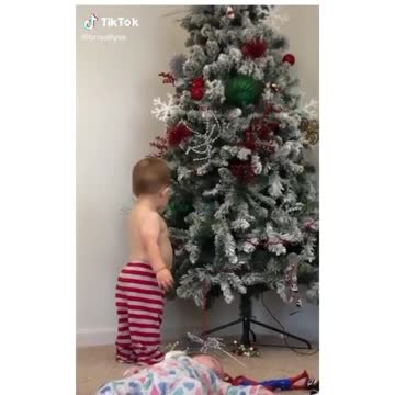 Funny Kid first saw the tree