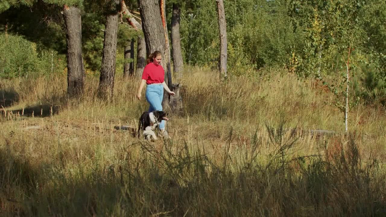 Plump woman and her cute trained big dog playing outdoors together