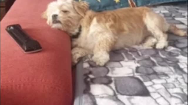 Sleepy time 😍