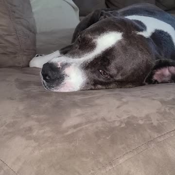 I love singing along to this song