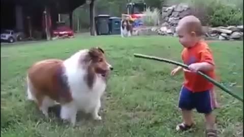 Adorable Child Plays with Water and Dog