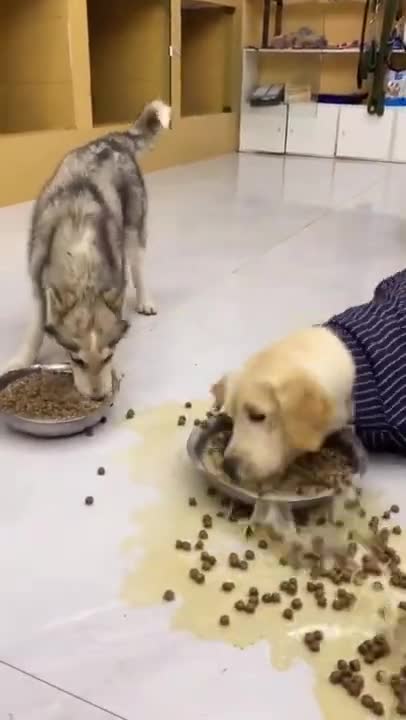 They always dirty everything while eating