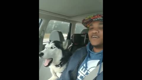 Man and Dog singing together