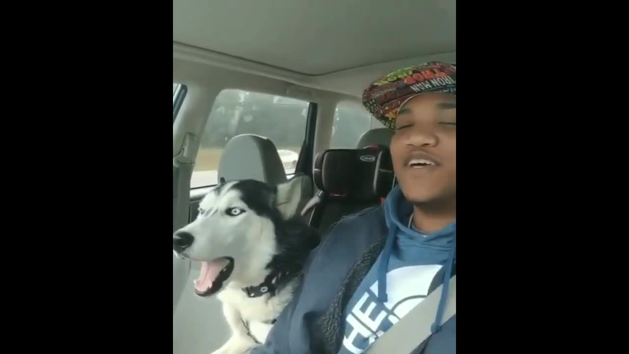 Man and Dog singing together