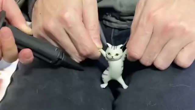Funny Cats
