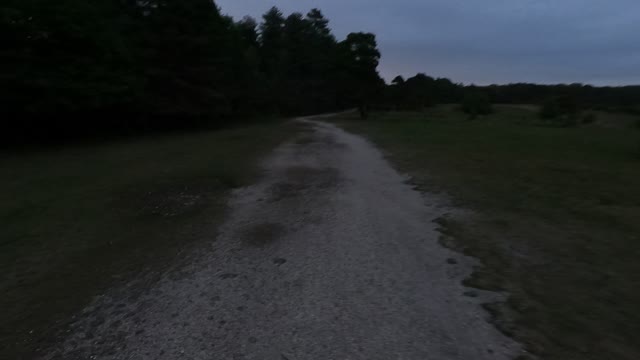 Evening hiking . New forest. GoPro on a chest mount