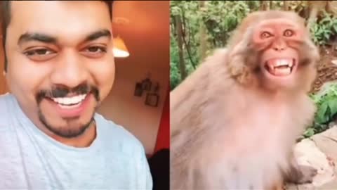 Monkey Laughing 😁😁😁
