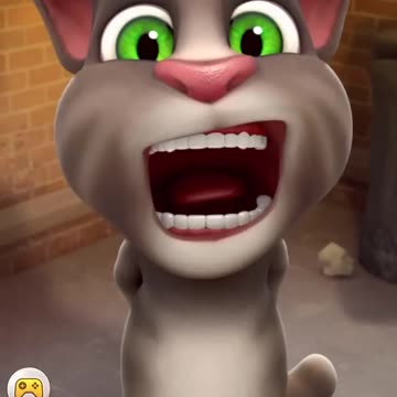Talking tom says hello