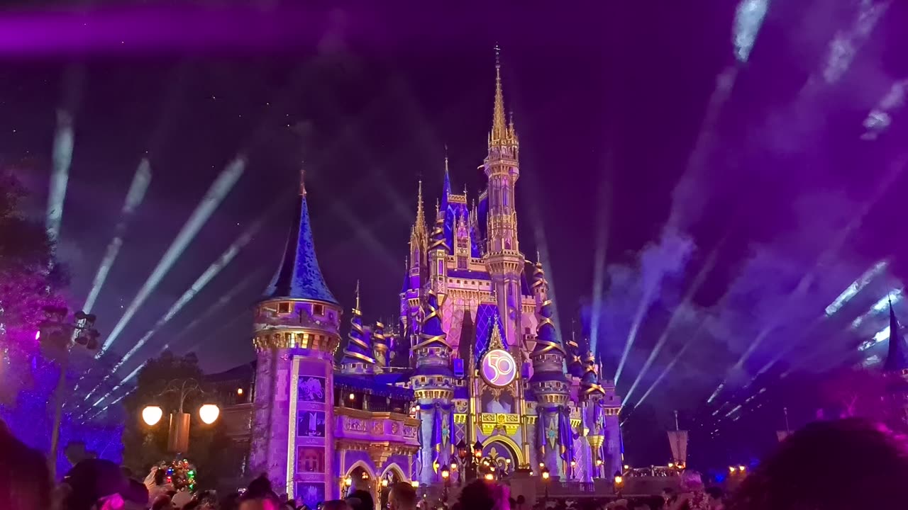 Magic Kingdom, castle fireworks show