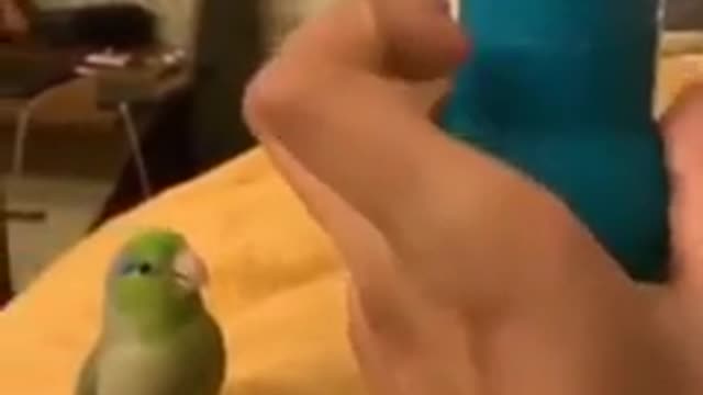 Ai que sede
