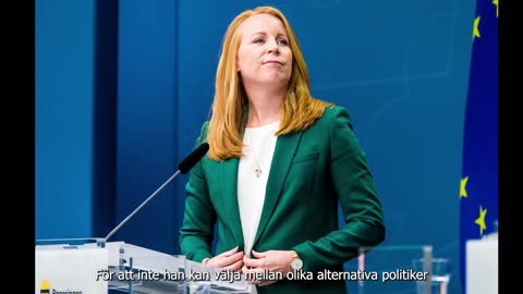 Annie Lööf - Kontexten